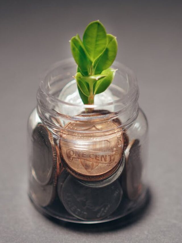 Green plant growing from a jar filled with coins, symbolizing financial growth and investment.