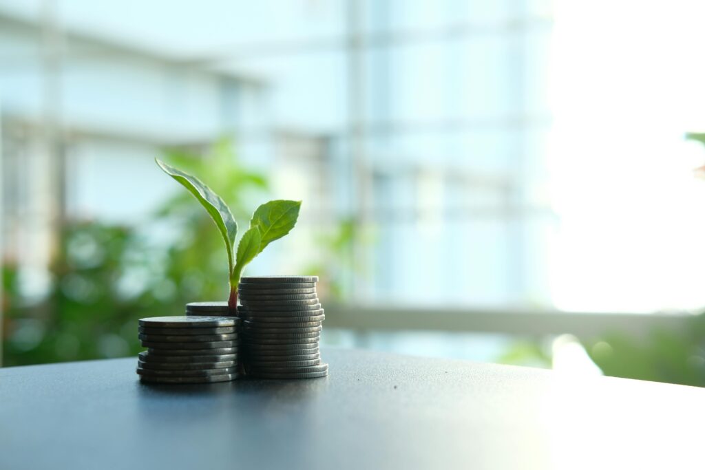 5 Powerful Ways Sustainable Spending for 4-Year-Olds Builds Financial Wisdom in India 2 pexels photo 11391951 11391951 Sustainable spending for 4-year-olds,
teaching reuse and value to preschoolers in India,
second-hand toys and financial literacy for Indian children,
eco-friendly saving habits for 4-year-olds in India,
connecting sustainability and financial education in early childhood